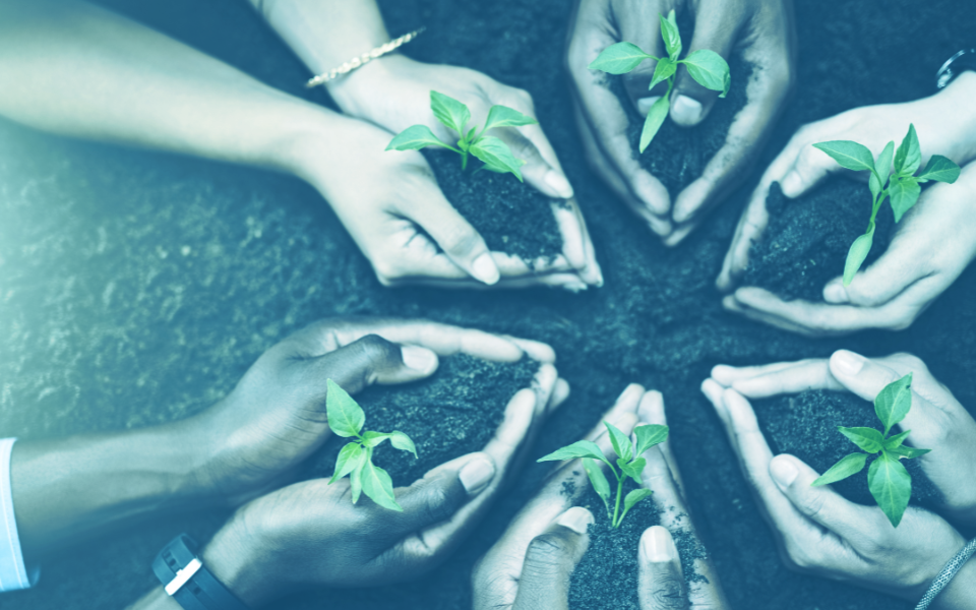 The Outsized Impact of Employee Ownership on Company Culture